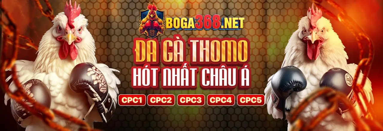 Đá Gà Trực Tuyến 88i App Đỉnh Cao 2026